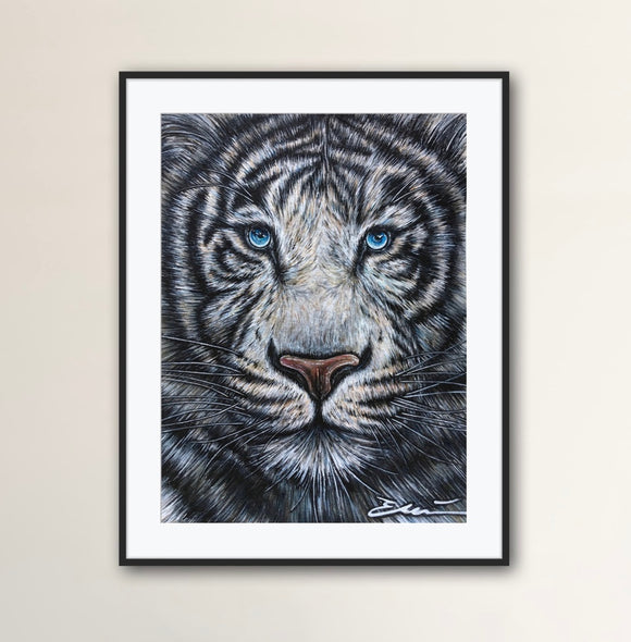 White Tiger Portrait