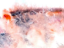 Pink Flambé-2