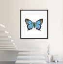 Butterfly Effect-2