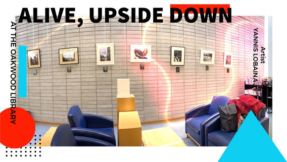 FEMALE SPIRIT AN OAK TREE