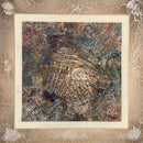 Western Wall-1