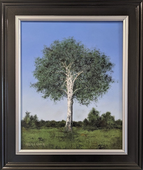 White Birch