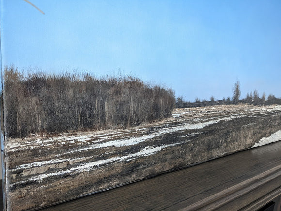 Spring Thaw