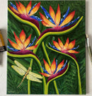Bird of Paradise-2
