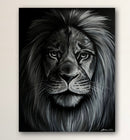 Black and White Lion Portrait-2