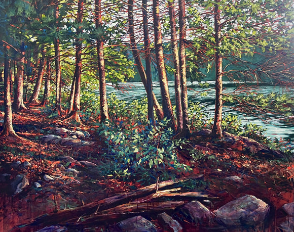 Along the Trail at Lake Achray, Algonquin Park
