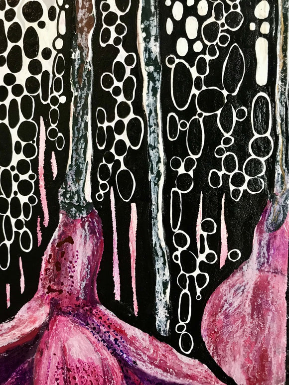 "Reminiscence of fuchsia days"