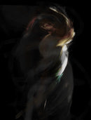 Flow-3