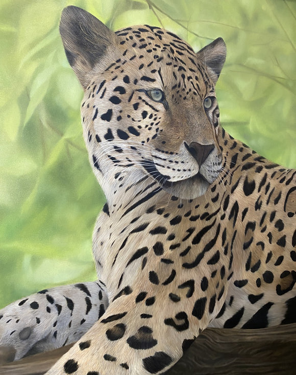 Leo