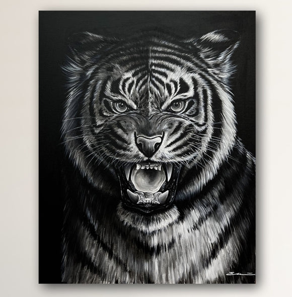Black and White Tiger Portrait