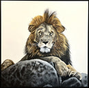 Steadfast-1