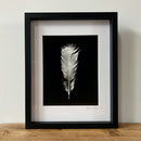Feathers One-2
