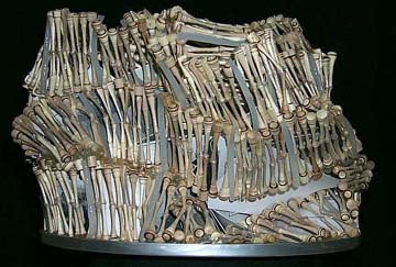 DNA Fragment: Vision and Memory