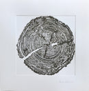 "The Circle of Life"-2