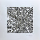 "Graceful Giant"-2