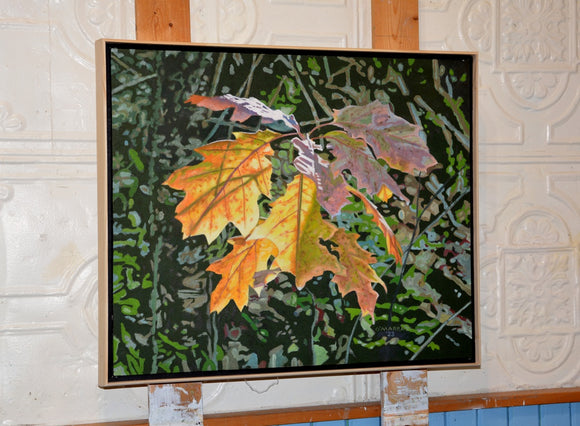 Oak Leaves--Fall Light