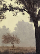 Autumn Haze-3