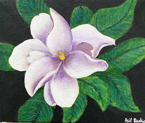 Magnolia Study I