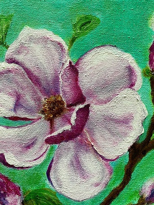 Magnolia Study II