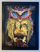 Wisdom Within-2