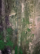 One Earth-2