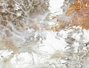 Winter Walk-2