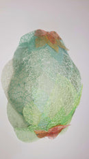 Womb: 11th Edition-2