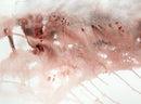 Blush-2
