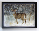 White-tailed Buck, First Snow-2