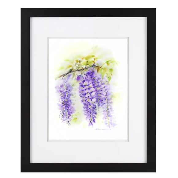 Wisteria Flowers