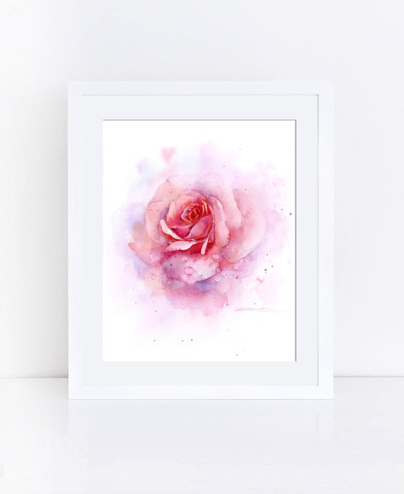 Rose with drew