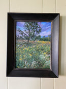 Jack Pine-2