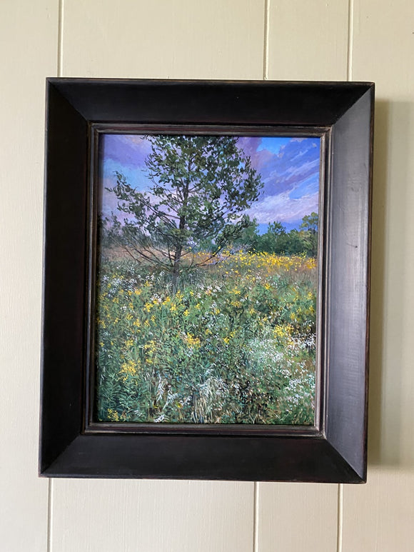 Jack Pine