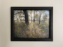 Burr Oak, Autumn Sun-2