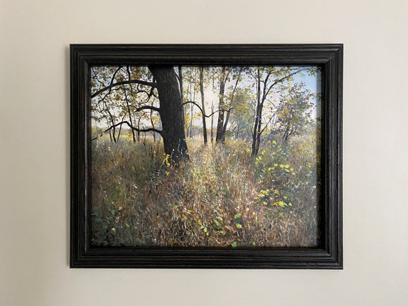 Burr Oak, Autumn Sun