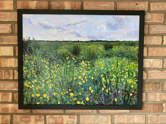 Marsh, Marigolds
