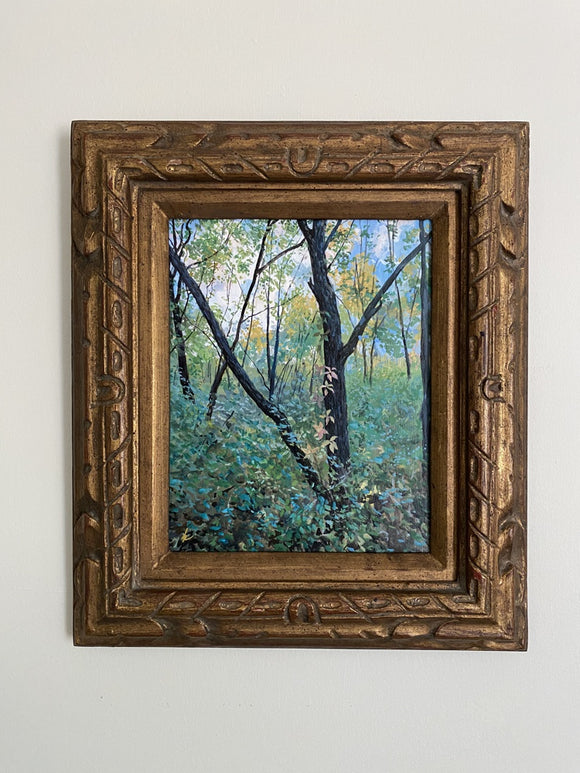 Shagbark Hickory, Early Fall