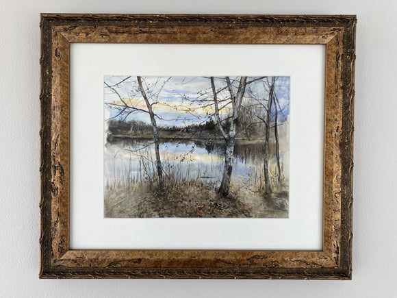 Birch on Rubber Duck Pond