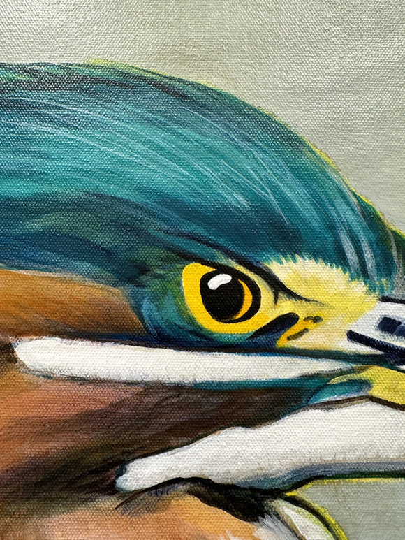 Green Heron