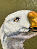 Domestic Goose-2