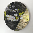 Flourishing Forest-2