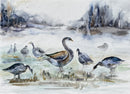 Geese in a foggy park-1
