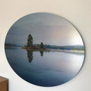 Reflecting Tranquility Spruce Tree-2