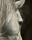 Under A New Moon-2