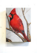 Cardinal-2