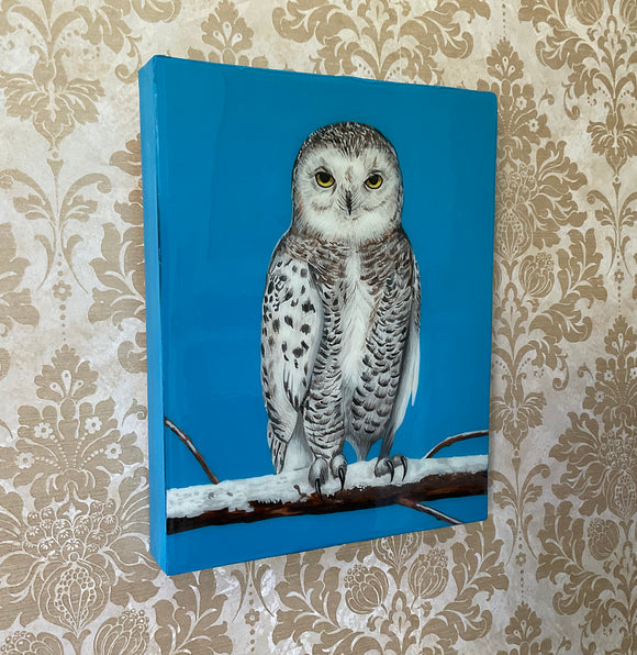 Snowy Owl