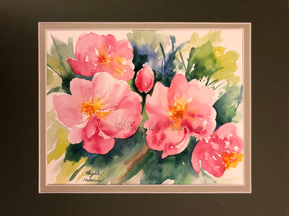 Pink Flowers in the garden