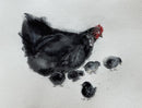 Black Chicken with chickens-1