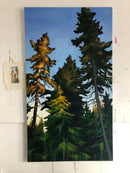 Golden Hour (Boreal Forest)-2