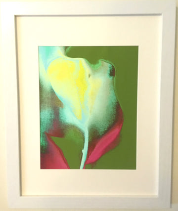 Tulip II (2019 series)